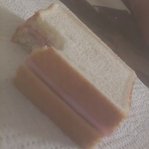 Meet your Posher, Mr.sandwich